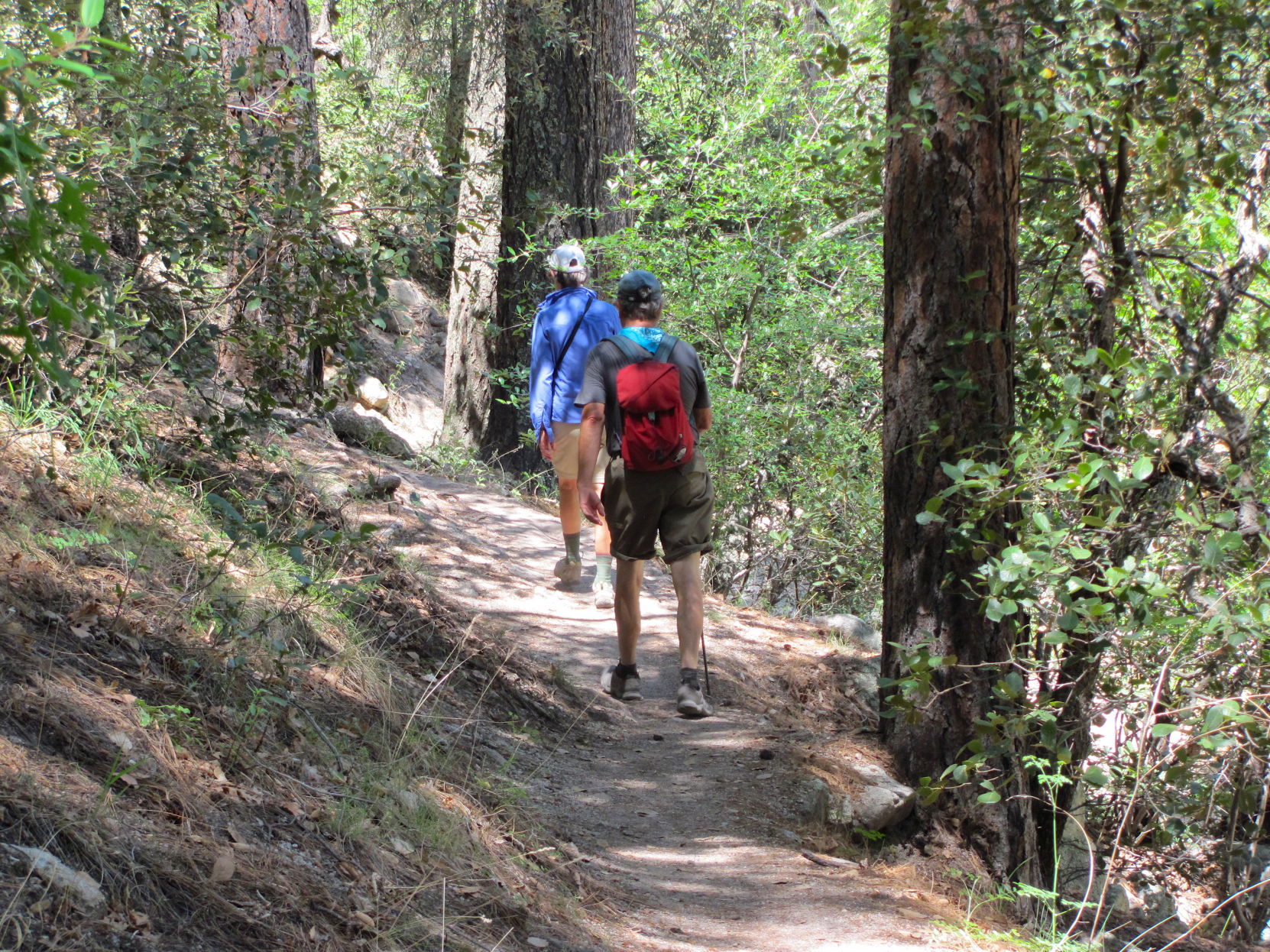 Hikers